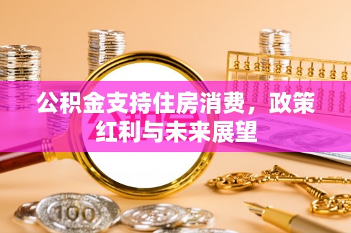 福清公积金支持住房消费，政策红利与未来展望