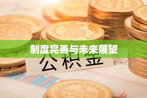 福清制度完善与未来展望