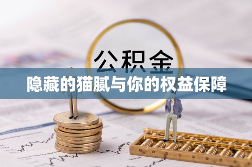 福清隐藏的猫腻与你的权益保障