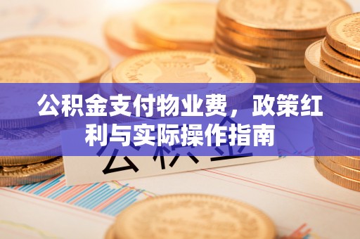 福清公积金支付物业费，政策红利与实际操作指南