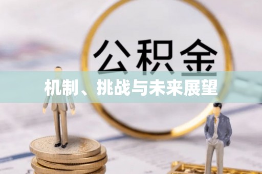福清机制、挑战与未来展望